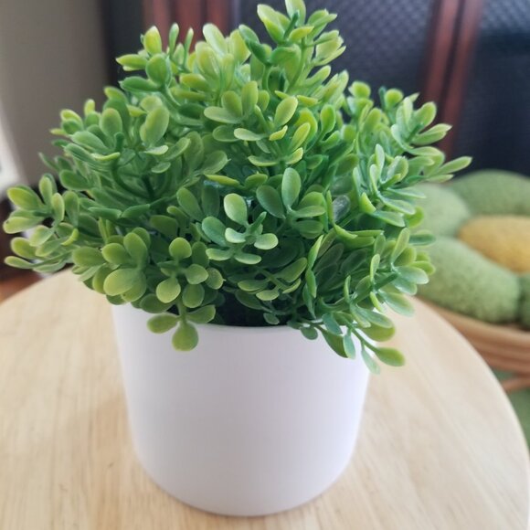 Faux Decorative Plant - Picture 3 of 3